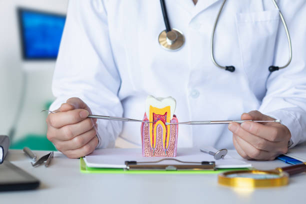 Best 24-Hour Emergency Dentist in University Of Virginia, VA